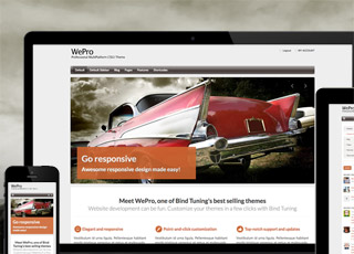 WePro